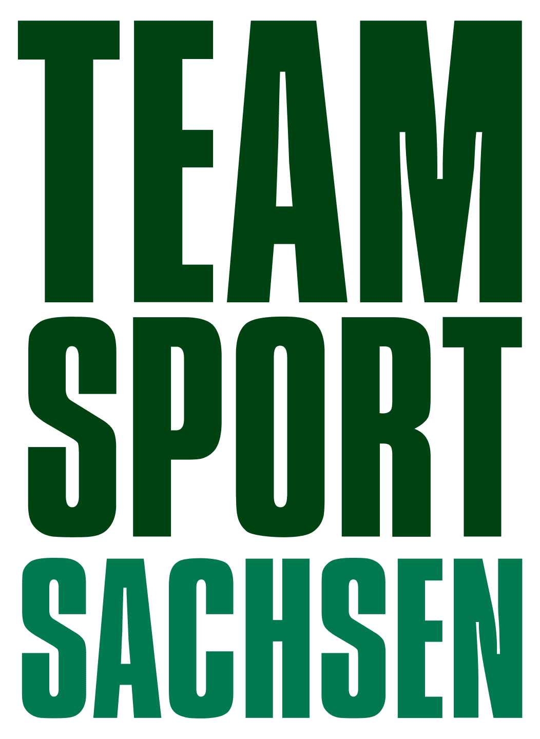 Sponsorenlogo Team Sport Sachsen